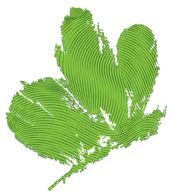 Worley values - Brilliance graphic.