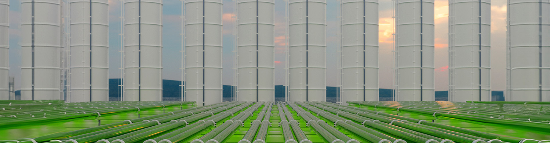 Tubular algae bioreactors capturing CO2 with rows of storage tanks.