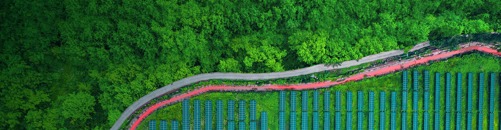 Aerial view of solar panels next to a forest.