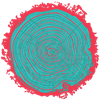 Illustration representing Worley's Ambition - portfolio.