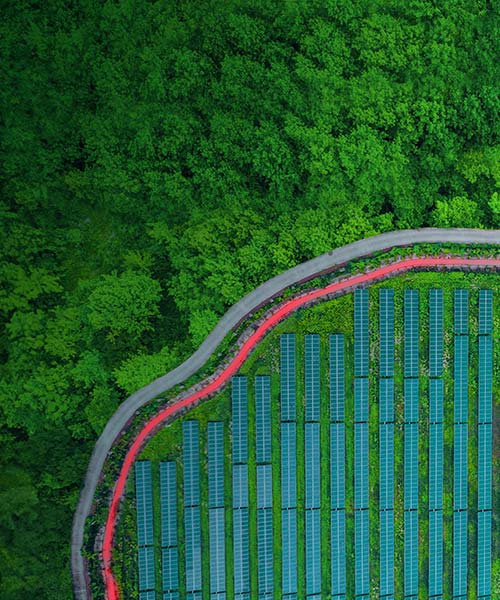 Aerial view of solar panels next to a forest.