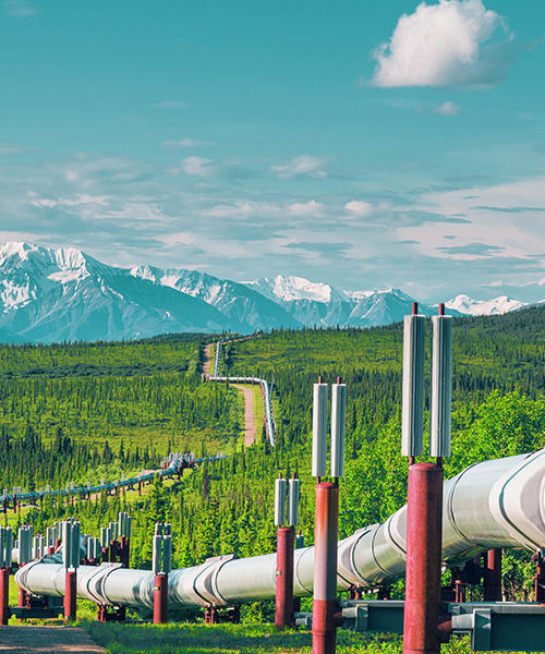 Trans Alaksa oil pipelilne crossing the land towards the mountains.