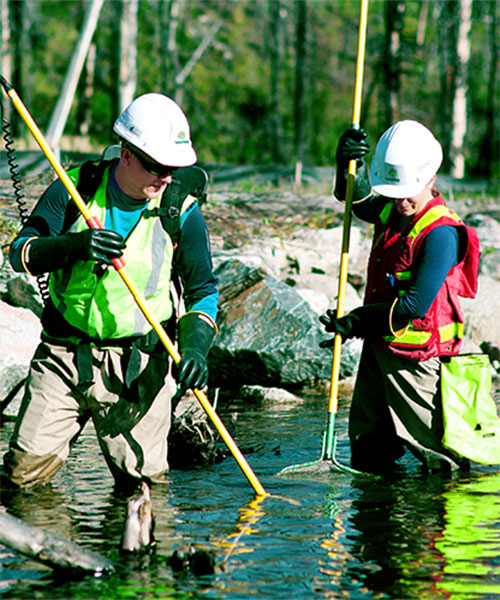 Two Worley people standing in and holding nets into a body of water.