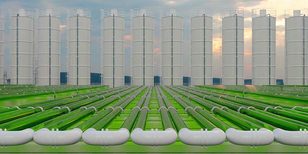 Tubular algae bioreactors capturing CO2 with rows of storage tanks.