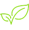 Icon of a leaf representing Racing Green.