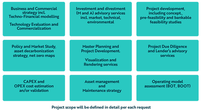 Range of services that can be offered in the MSA.