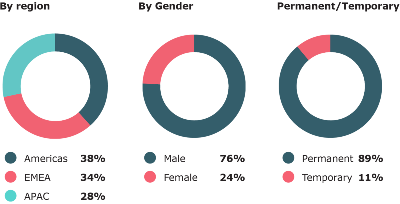 Workforce distribution by region, gender and employment type.