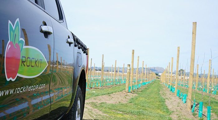 Rockit apple branded ute parked in front of the newly-planted orchard.