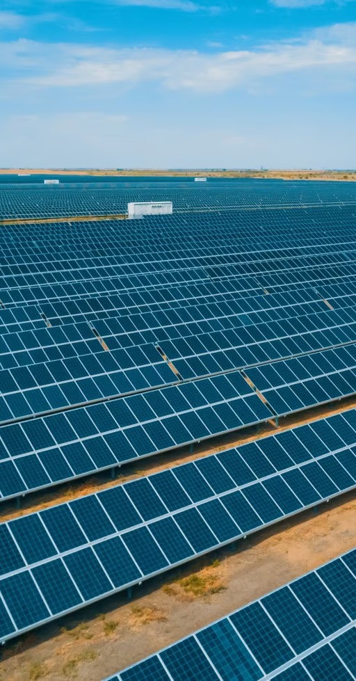 Rows of solar panels.