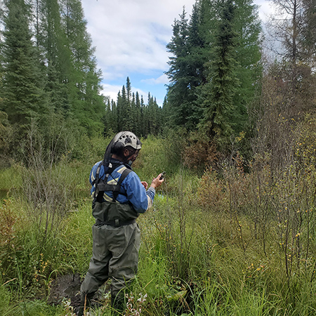 Person wearing outdoor protective equipment in a bushy landscape.